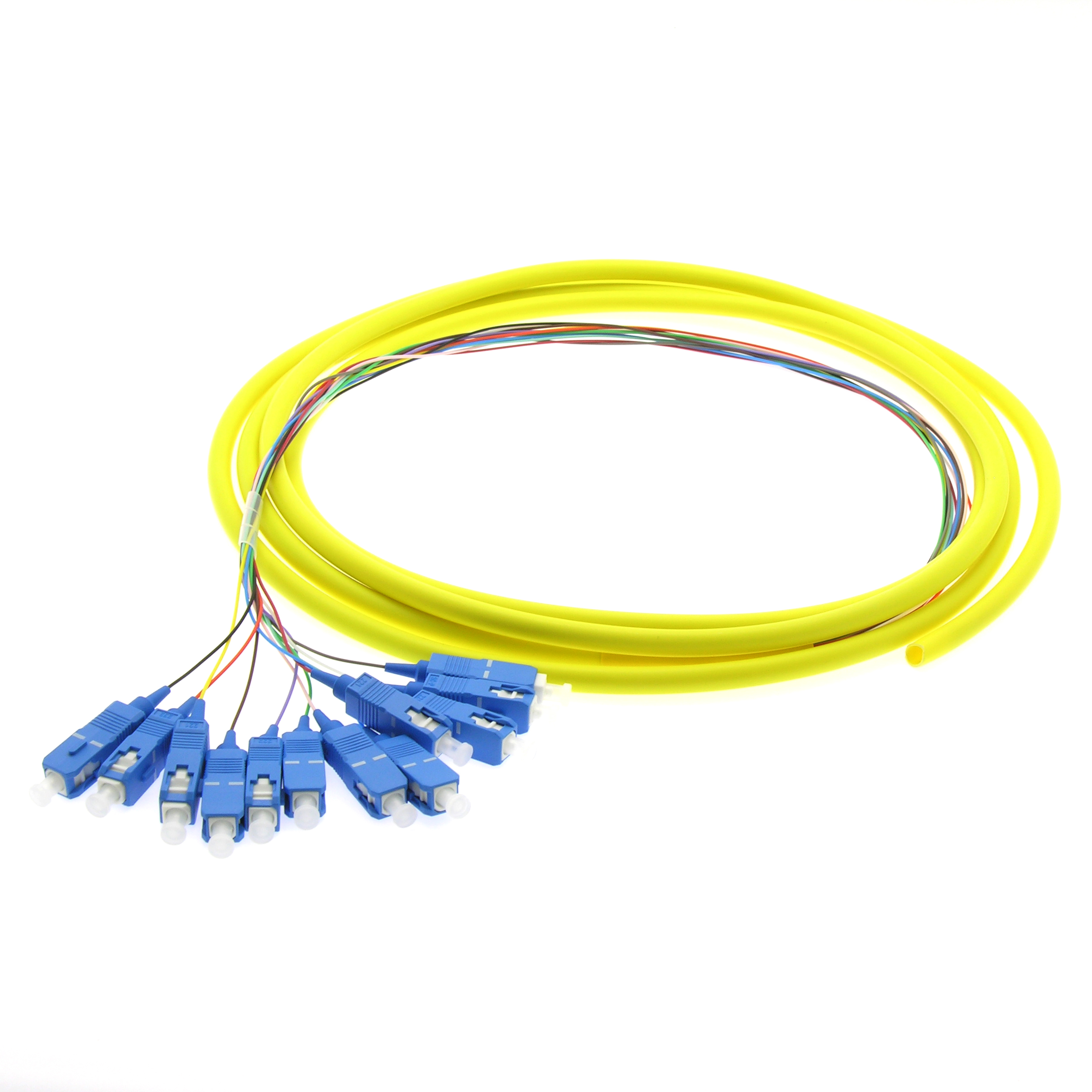 3m 12-Fiber SC/UPC Singlemode Pigtail Yellow